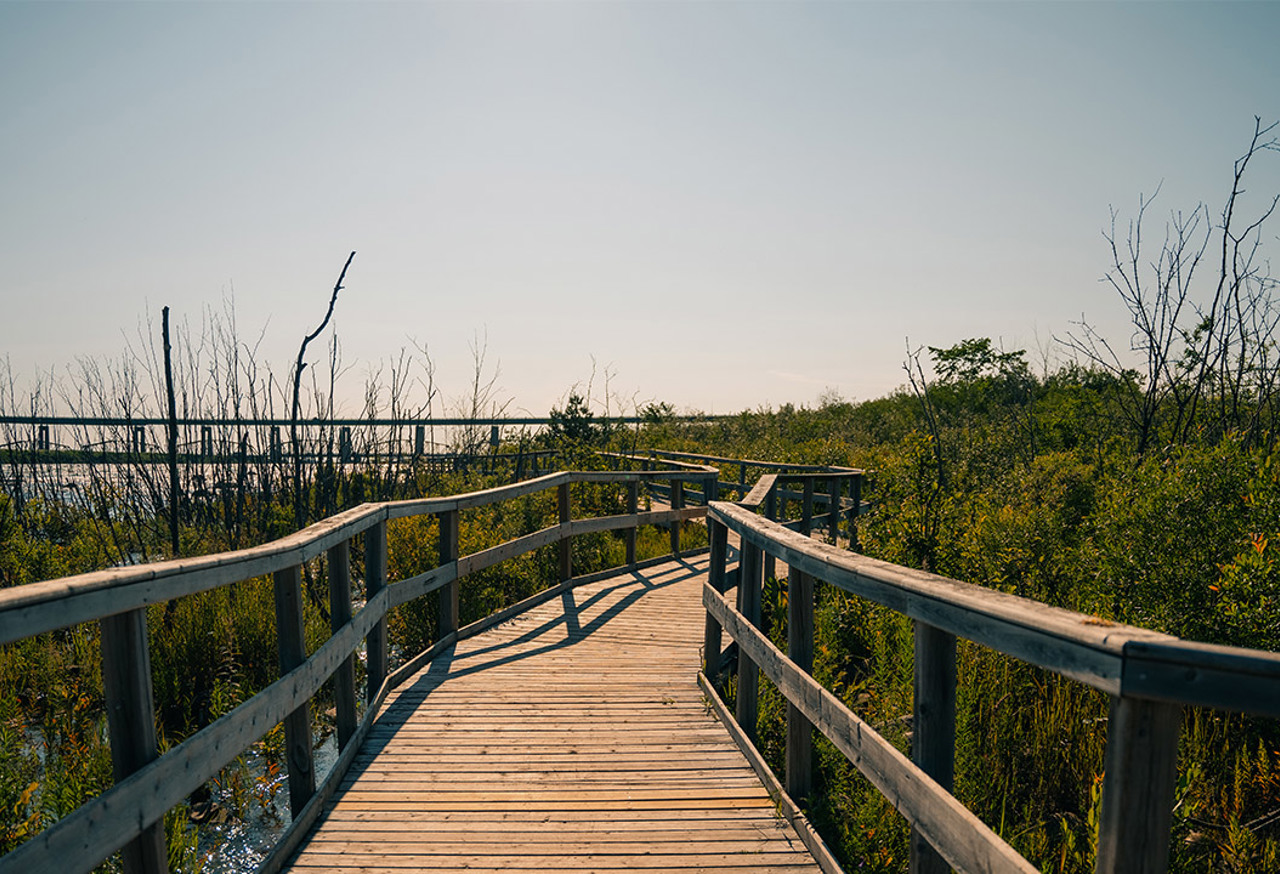 Beach Board Walk