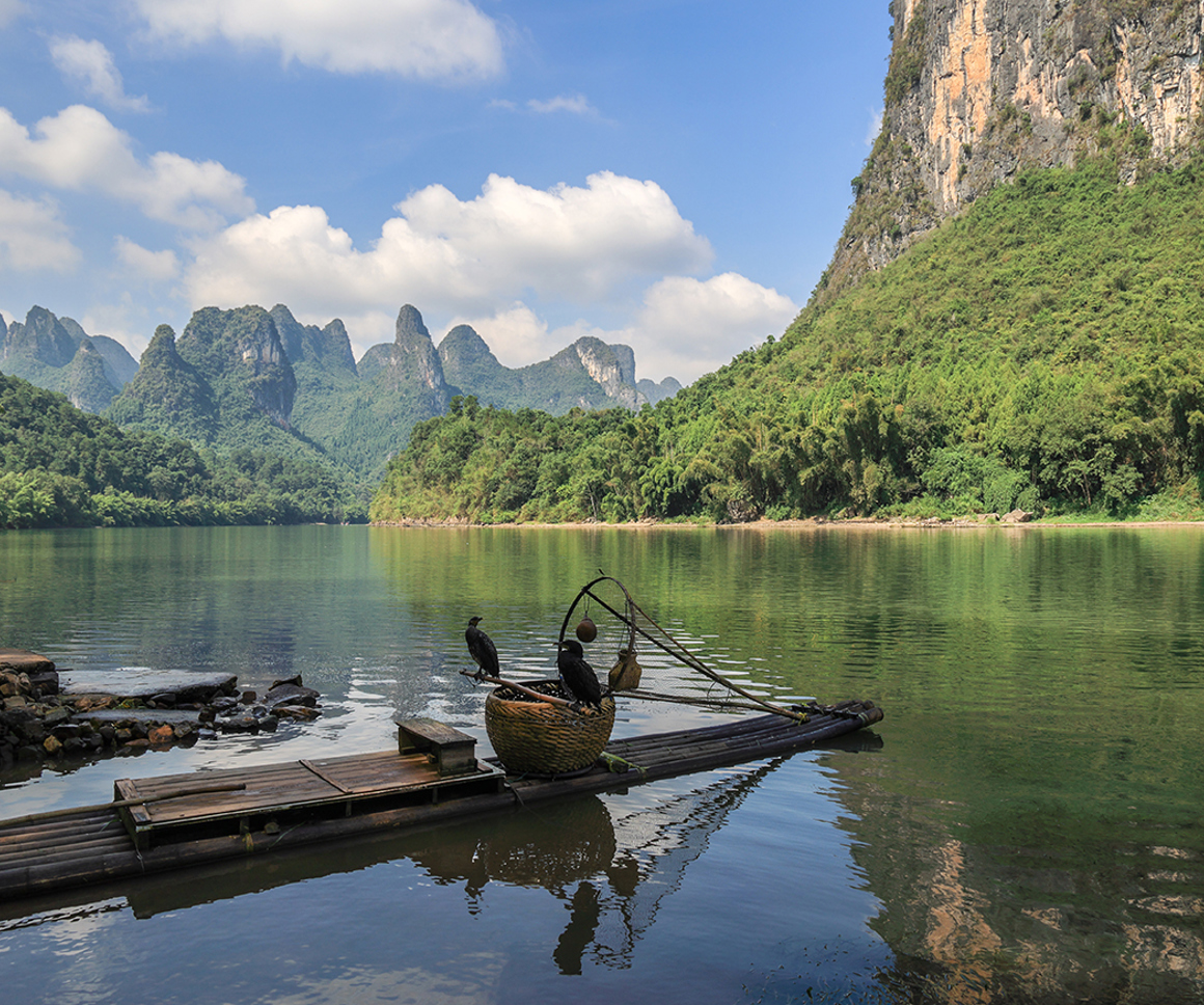 Birds on a makeshift pontoon with mountains in background