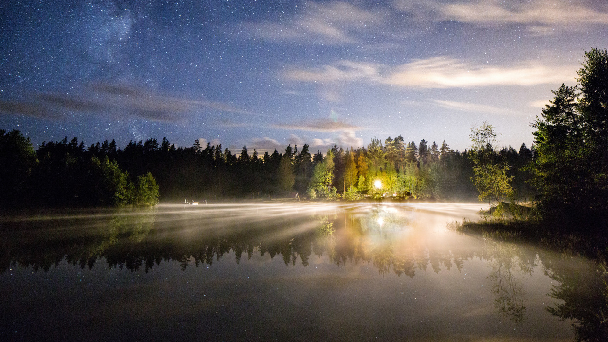 Misty forest
