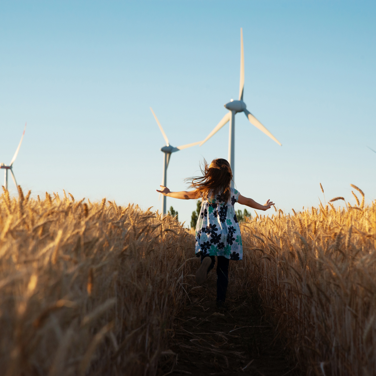 Child Running In A Corn Field Towards A Wind Turbine