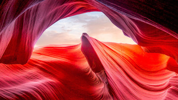 Canyon In Zion National Park