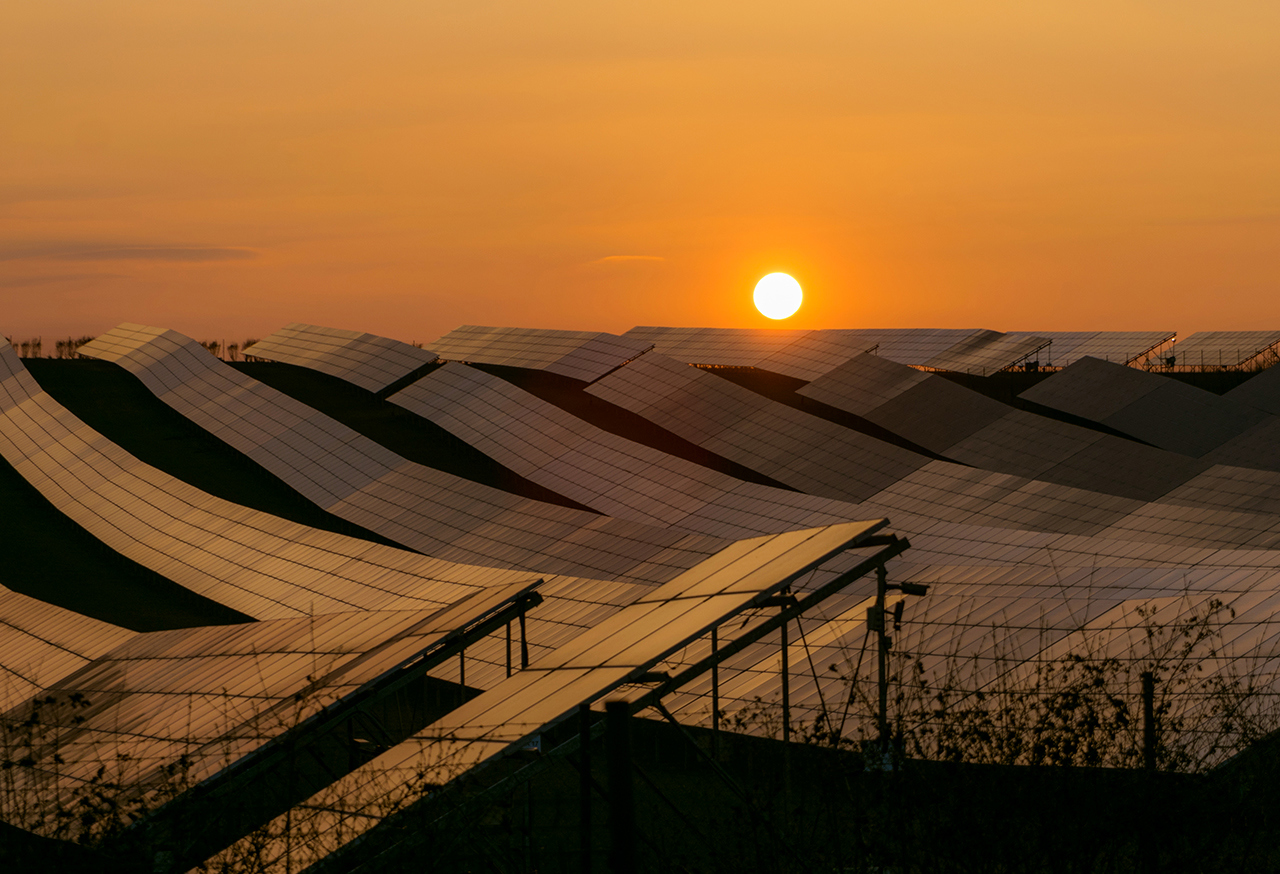 Field of solar panels at sunset