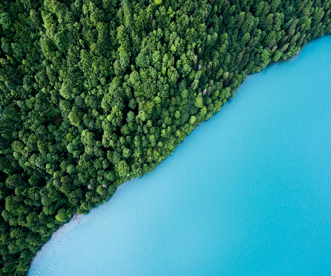 Arial view of forest on bright blue water's edge